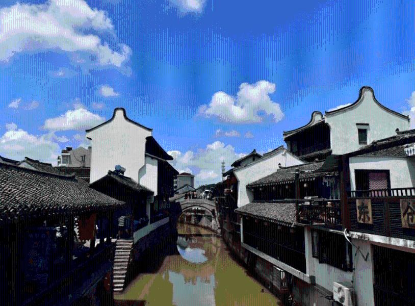 营救小乌龟